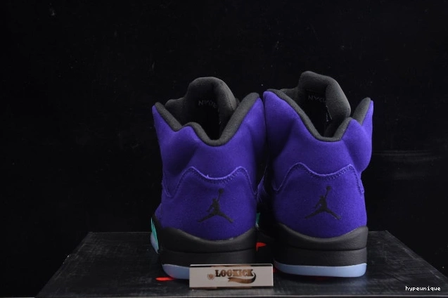 HYPE 5 136027-500 Alternate Grape Jordan Air Retro 0811